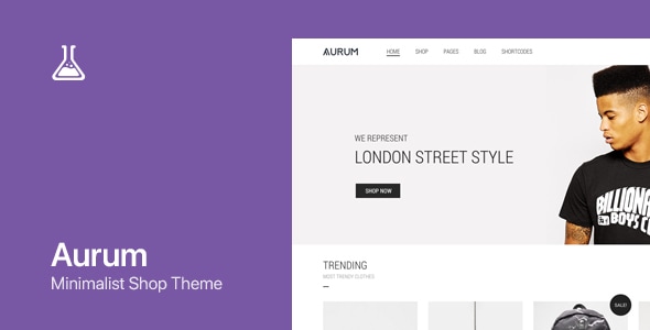 Aurum - Shopping WooCommerce & WordPress Theme