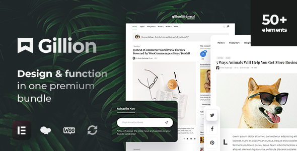 Gillion - Multi-Concept Blog/Magazine & Shop WordPress Theme